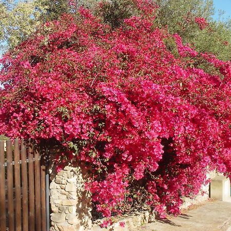 Casa A 300Mt.Dal Mare Calasinzias, 6 Letti, Ac, Pets Welcome, Wi-Fi Free Cala Sinzias Luaran gambar